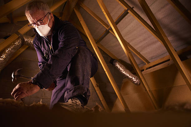 Best Spray Foam Insulation in Naples Manor, FL