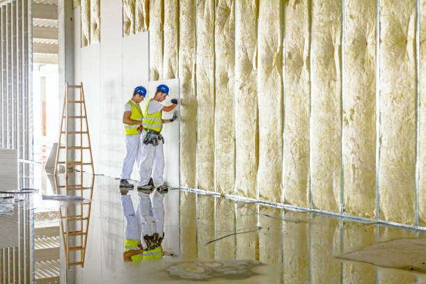 Best Energy Efficiency Insulation in Naples Manor, FL